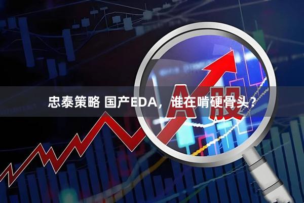 忠泰策略 国产EDA,谁在啃硬骨头?